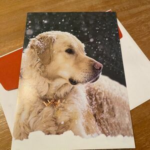 Puppy Dog in Snow Winter Holiday Beauty of Christmas Season Greeting Card